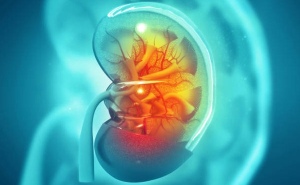 Urology
